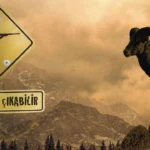 elazigda-dag-kecisi-olduren-kisiye-666-bin-619-lira-ceza-ishu