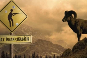 elazigda-dag-kecisi-olduren-kisiye-666-bin-619-lira-ceza-ishu