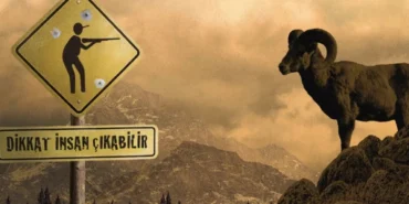 elazigda-dag-kecisi-olduren-kisiye-666-bin-619-lira-ceza-ishu