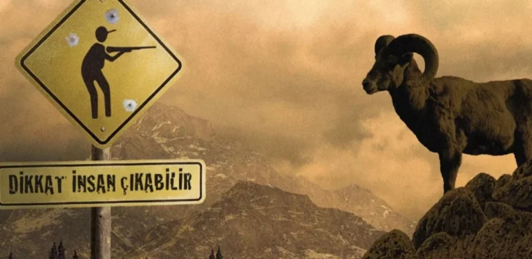 Elazığ’da dağ keçisi öldüren kişiye 666 bin 619 lira ceza