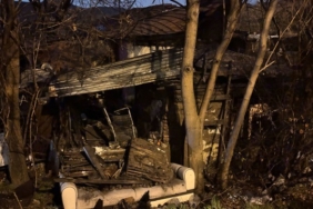 690x390cc-ank-18-02-2025-altinda-belediyesi-sokak-hayvani-yasli-kadin-kundaklama1