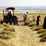 690x390cc-izm-14-02-2025-citftci-sen-2024-raporu-ali-bulent-eroglu3