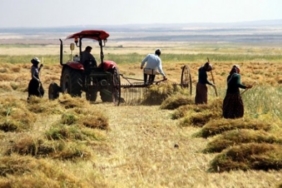 690x390cc-izm-14-02-2025-citftci-sen-2024-raporu-ali-bulent-eroglu3