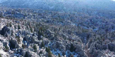 Ekran görüntüsü 2025-02-14 110654