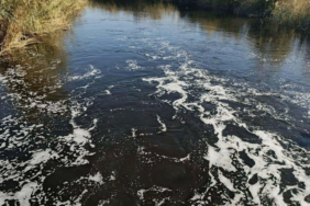 Ekran görüntüsü 2025-02-24 124612