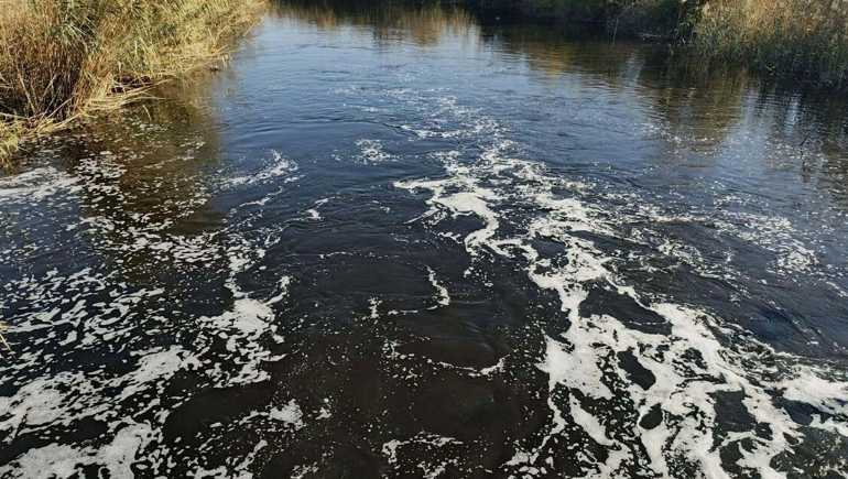 Büyük Menderes Nehri kirlilik nedeniyle siyaha büründü