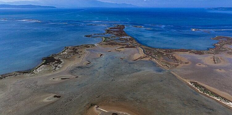 Gediz Deltası Kuraklık ve Kirlilik ile Boğuşuyor