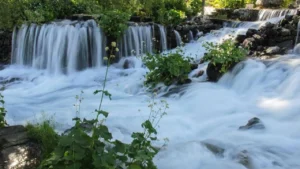 munzur-gozeleri-yeniden-1inci-derece-sit-alani-ilan-edildi-us1q