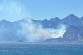 thumbs_b_c_ec85de41a291322f8a921b627910d203