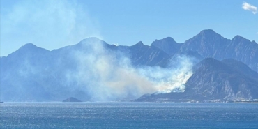 thumbs_b_c_ec85de41a291322f8a921b627910d203