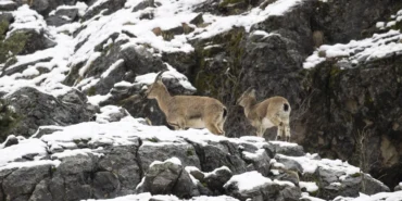 whatsapp-image-2025-02-14-at-12-2u39