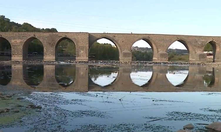 Di Çemê Dîcleyê de mirina bi komî ya masiyan