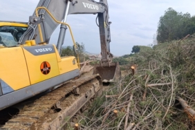 690x390cc-izm-05-03-2025-cayirli-koyu-agac-kesimi