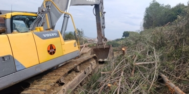 690x390cc-izm-05-03-2025-cayirli-koyu-agac-kesimi