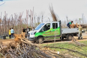 823x463cc-amd-28-03-25-peyas-meyve-bahceleri-projeleri1