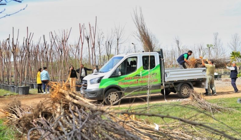 Kayapınar’da “Meyve Bahçeleri” Projesi: 4 Bin Ağaç Toprakla Buluşuyor
