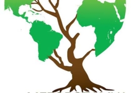 WhatsApp Image 2025-03-05 at 15.36.17