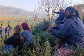 cayirlida-asker-korumasinda-agac-kesimi-kvvc