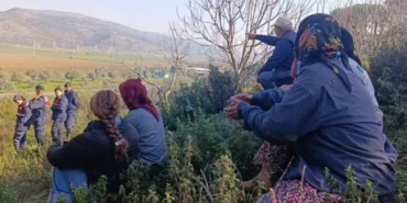 cayirlida-asker-korumasinda-agac-kesimi-kvvc