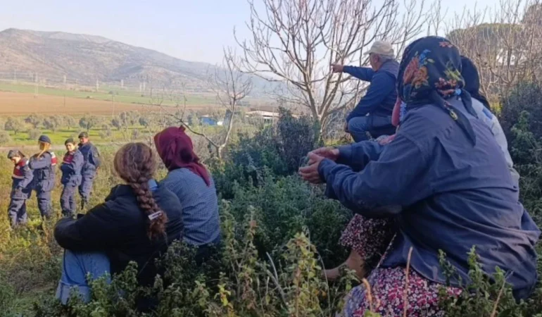 Çayırlı’da asker korumasında ağaç kesimi