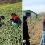 1744698503200-indir-34-1