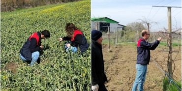 1744698503200-indir-34-1