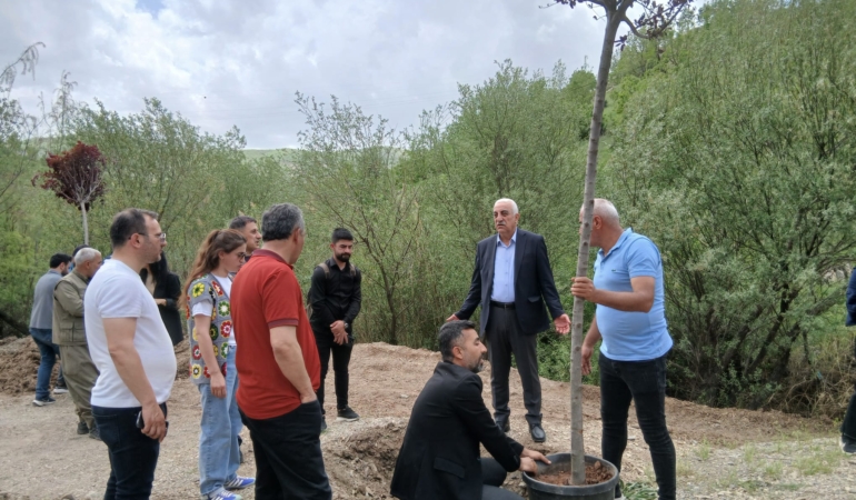 Mezopotamya Ekoloji Hareketi ve Şırnak Ekoloji Platformu Besta’da Fidan Dikti