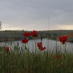 40_urf-07-04-2025-hewag-riha-norcin9