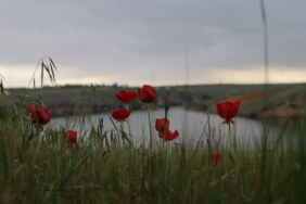 40_urf-07-04-2025-hewag-riha-norcin9