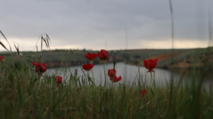 40_urf-07-04-2025-hewag-riha-norcin9