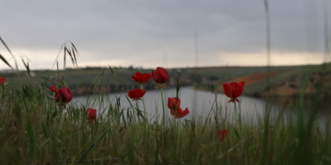 40_urf-07-04-2025-hewag-riha-norcin9