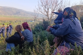 690x390cc-izm-09-04-2025-cayirli-koylusune-imza-baskisi