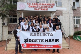 690x390cc-mrd-14-04-2025-merdinde-doktora-saldiri1