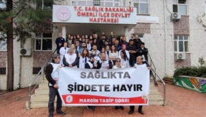 690x390cc-mrd-14-04-2025-merdinde-doktora-saldiri1