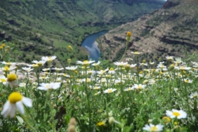 690x390cc-srnk-13-04-2025-botan-vadisi-renklendi1