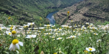 690x390cc-srnk-13-04-2025-botan-vadisi-renklendi1