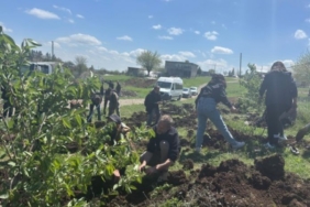 823x463cc-amd-12-04-2025-ekoloji-dernei-fidan-dikti2