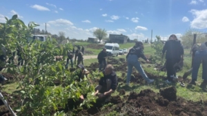 823x463cc-amd-12-04-2025-ekoloji-dernei-fidan-dikti2