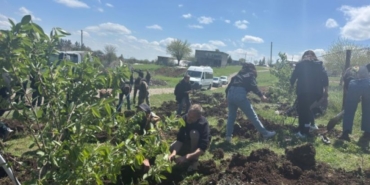 823x463cc-amd-12-04-2025-ekoloji-dernei-fidan-dikti2