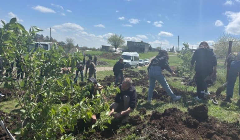 Uluslararası dayanışmayla Diyarbakır’da fidan dikim şenliği
