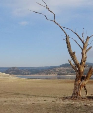 823x463cc-izm-25-04-2025-iklim-kanunu-aysegul-akinci-roportaj-manset