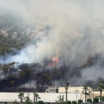 690x390cc-mgla-30-06-2025-bodrumda-makilik-alanda-yangin